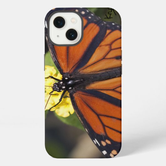Monarch iPad-Hülle iPhone Hülle (Rückseite)