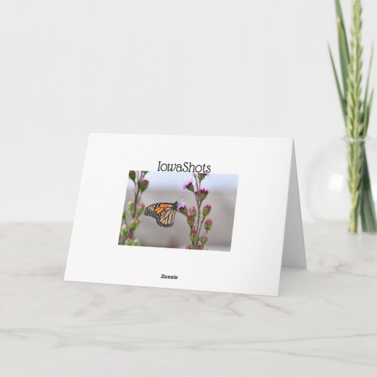 Monarch Karte (Rückseite)