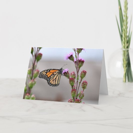 Monarch Karte (Vorderseite)