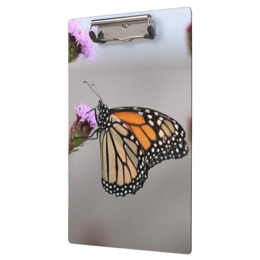 Monarch Klemmbrett (Links)