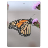 Monarch Klemmbrett (Rückseite)