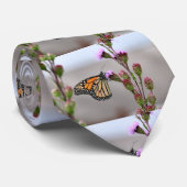 Monarch Krawatte (Gerollt)