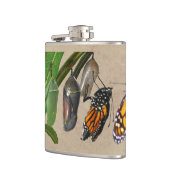 MONARCH-LEBENSZYKLUS FLACHMANN (Links)