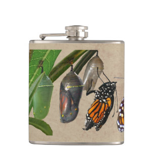 MONARCH-LEBENSZYKLUS FLACHMANN