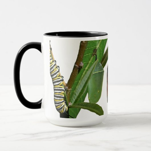 MONARCH-LEBENSZYKLUS TASSE (Links)