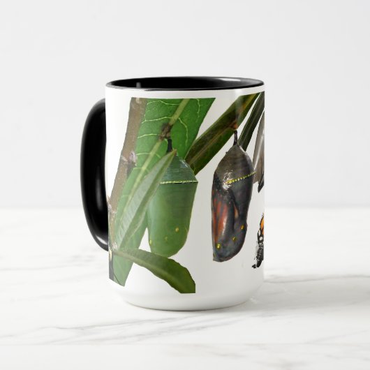 MONARCH-LEBENSZYKLUS TASSE (Vorderseite Links)