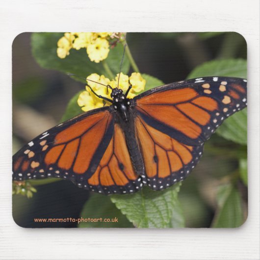 Monarch-Mauspad Mousepad (Vorne)