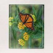 Monarch Meal Puzzle (Vertikal)