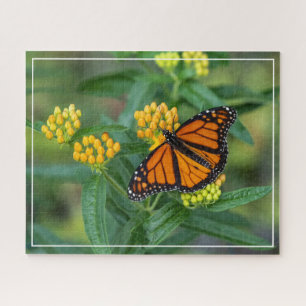 Monarch Meal Puzzle