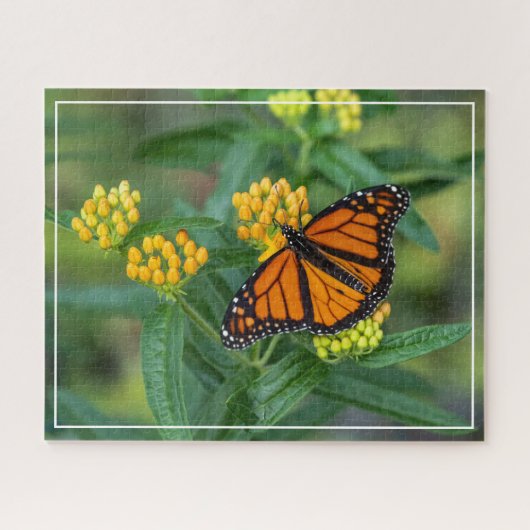 Monarch Meal Puzzle (Horizontal)