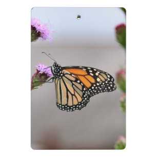 Monarch Mini Clipboard Klemmbrett