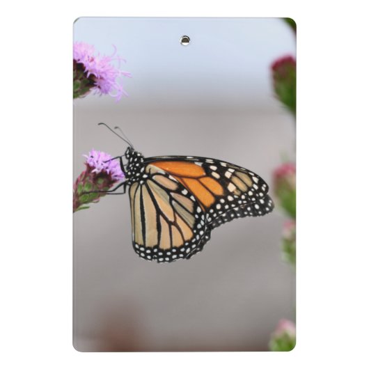 Monarch Mini Clipboard Klemmbrett (Rückseite)