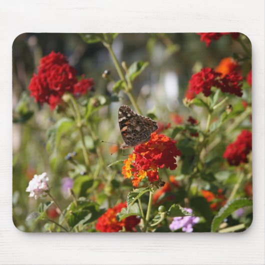 "Monarch" Mousepad (Vorne)