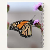 Monarch Notizblock (Rückseite)