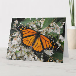 Monarch oder Milkweed Butterfly Dankeskarte