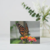 Monarch on Lantana Postcard Postkarte (Stehend Vorderseite)