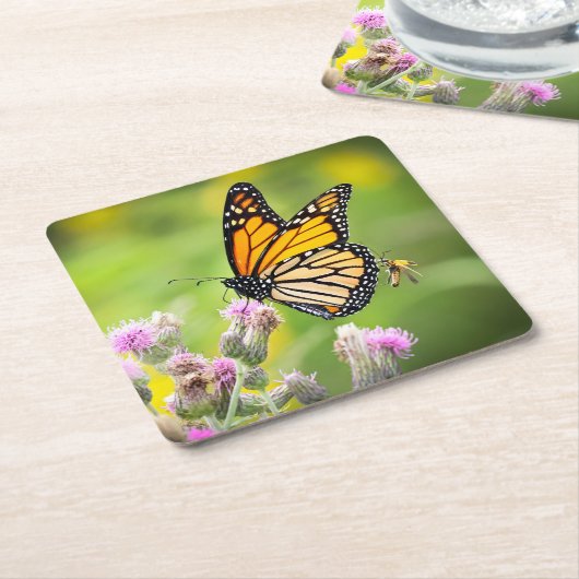 Monarch on thistle Drink Coaster Rechteckiger Pappuntersetzer (angewinkelt)
