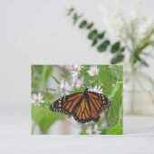 Monarch on Wild Asters Postcard Postkarte (Stehend Vorderseite)