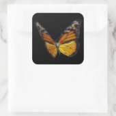 Monarch Orange Butterfly Flying Insekt Quadratischer Aufkleber (Tasche)