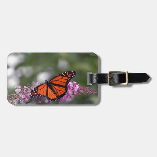 Monarch Orange Butterfly Foto Gepäckanhänger (Vorderseite horizontal)