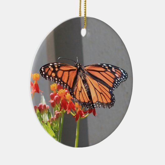 Monarch Ornament (Rechts)