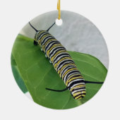 Monarch Ornament (Hinten)