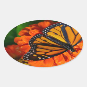 Monarch Ovaler Aufkleber