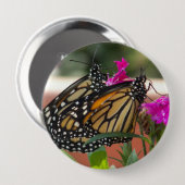 Monarch paart #1-Button Button (Vorne & Hinten)