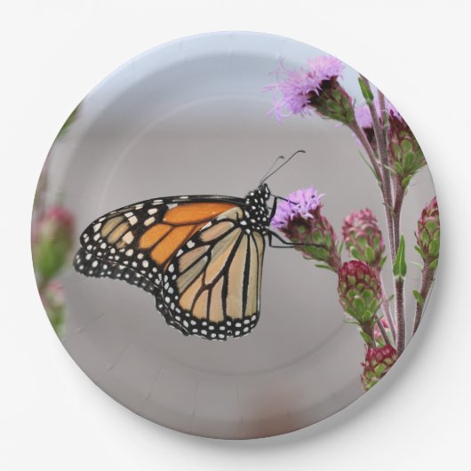 Monarch Pappteller (Vorderseite)