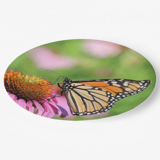 Monarch Pappteller (Schrägansicht)