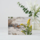 Monarch Postkarte (Stehend Vorderseite)