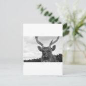 Monarch Postkarte (Stehend Vorderseite)