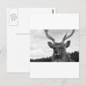 Monarch Postkarte (Vorne/Hinten)