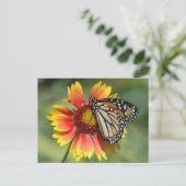 Monarch Postkarte (Stehend Vorderseite)