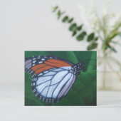 Monarch Postkarte (Stehend Vorderseite)