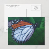 Monarch Postkarte (Vorne/Hinten)