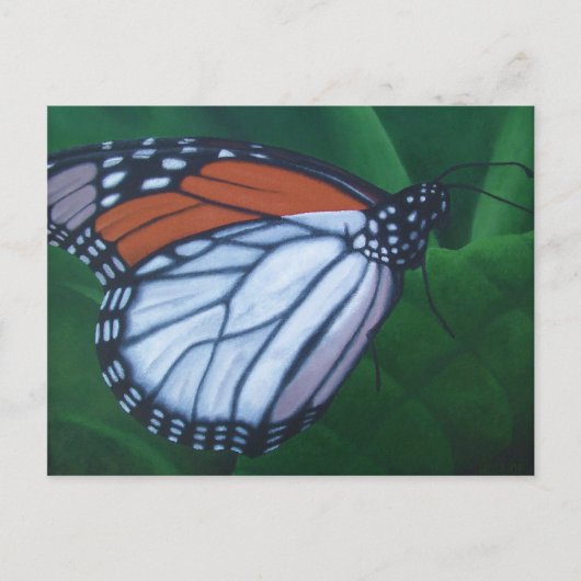 Monarch Postkarte (Vorderseite)