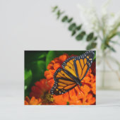 Monarch Postkarte (Stehend Vorderseite)