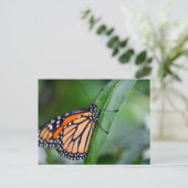 Monarch Postkarte (Stehend Vorderseite)