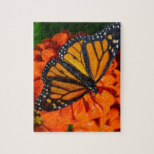 Monarch Puzzle (Vertikal)