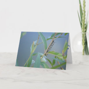 "Monarch Raupe #2" Get Well Card Karte