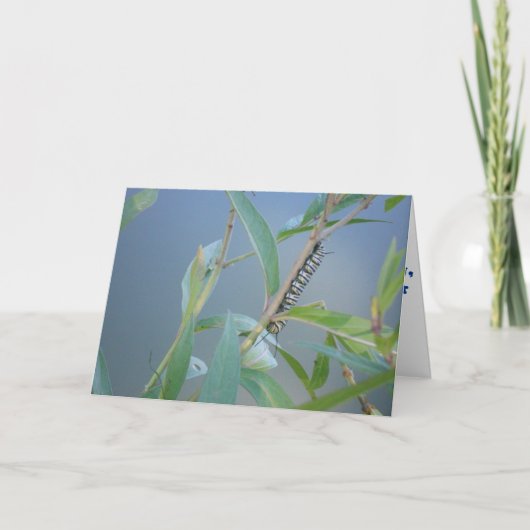 "Monarch Raupe #2" Get Well Card Karte (Vorderseite)