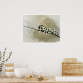 Monarch Raupe Art Print Poster (Küche)