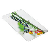 Monarch Raupe Flexible Magnet (Rechte Seite)