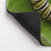 Monarch-Raupe Mousepad (Ecke)