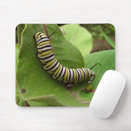 Monarch-Raupe Mousepad (Mit Mouse)