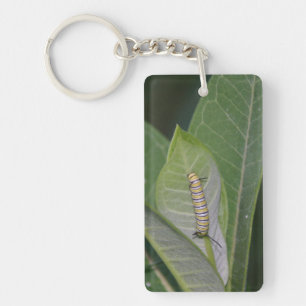 Monarch Raupe Schlüsselanhänger