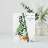 Monarch Raupe Valentine Postkarte (Stehend Vorderseite)