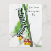 Monarch Raupe Valentine Postkarte (Vorderseite)