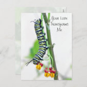 Monarch Raupe Valentine Postkarte (Vorne/Hinten)